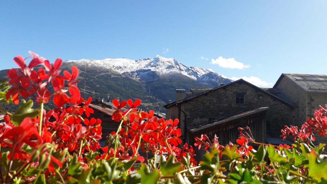 Appartamenti Baita Soliva Oga Buitenkant foto